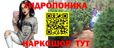 каннабис Будённовск